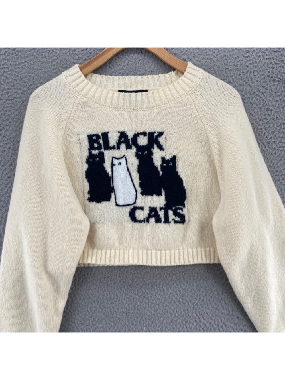 Cider Sweater Womens Small Ivory Black Cats Graphic Knit Cropped Raglan Sleeves